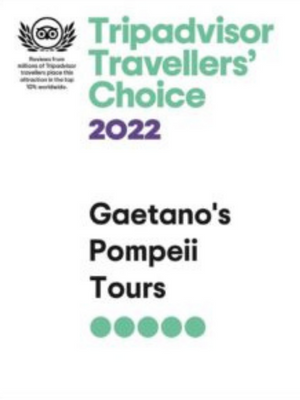 Tripadvisor Travellers Choice 2022 award for Gaetano's Pompeii Tours